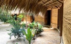 Coline  MARGUIN - COLORAMA DESIGN